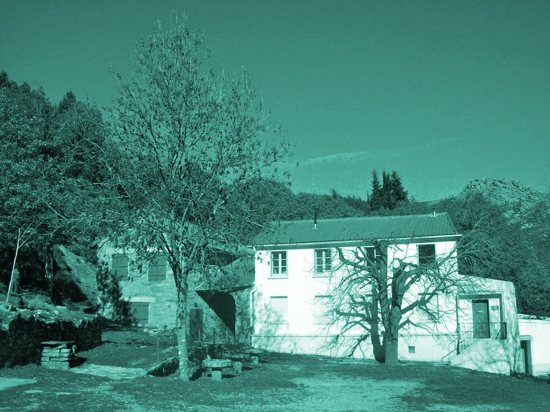 Découvrez le temple zen Yujo Nyusanji : méditation, sesshins et nature sauvage dans les montagnes du Caroux.