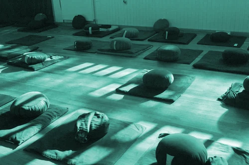 Intérieur du dojo zen de Dijon avec tatamis et coussins de méditation, ambiance paisible.